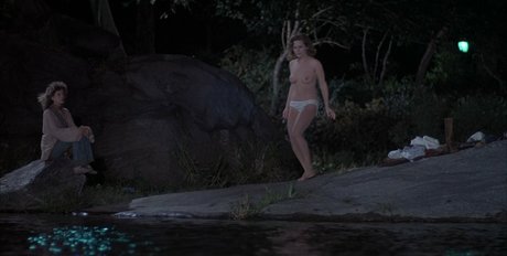 Beverly D Angelo top model images