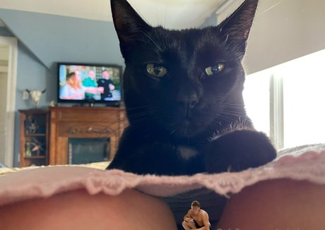 qsladygiant exclusive model archive