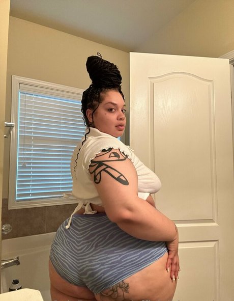 officialhhoneybee pretty star archive