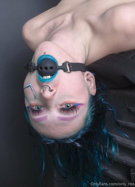 rissa ruin model top image