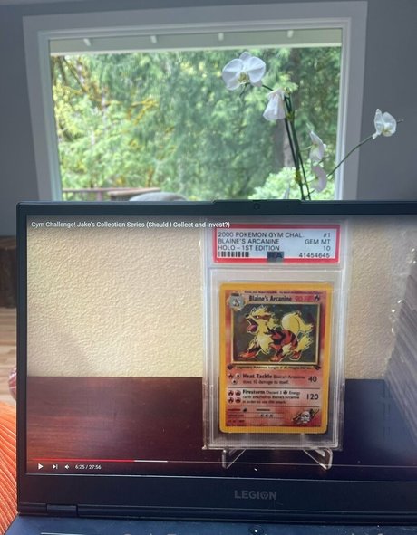 marstonhefner perfect pornstar gallery