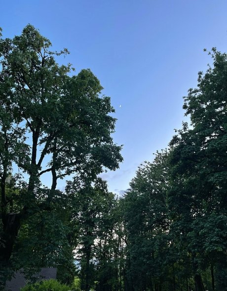 marstonhefner star art archive