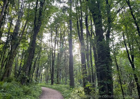 marstonhefner nice model img