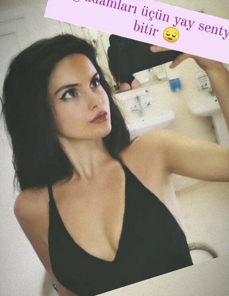 GymFoxFi star top pics