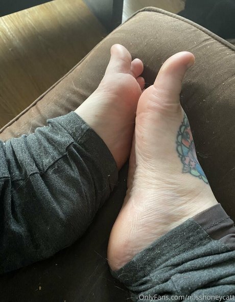 misshoneycatt pornstar naked photo