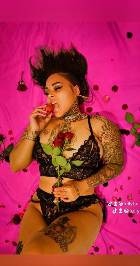FellyBX nice pornstar galleries