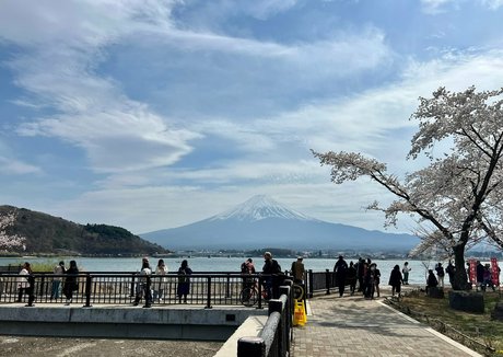 farrahabraham nudes pornstar images