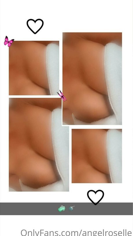 angelroselle pornstar best galleries
