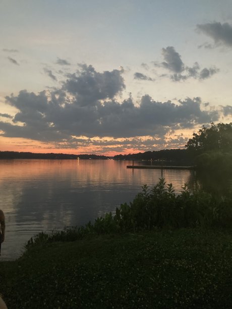 Southern Mistress_ nudes pornstar img