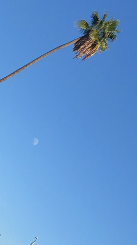 lllletsplay96 pornstar hd images