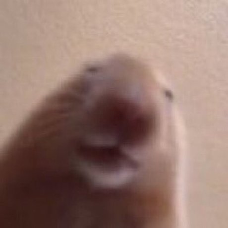 drakeclap gif actress pics