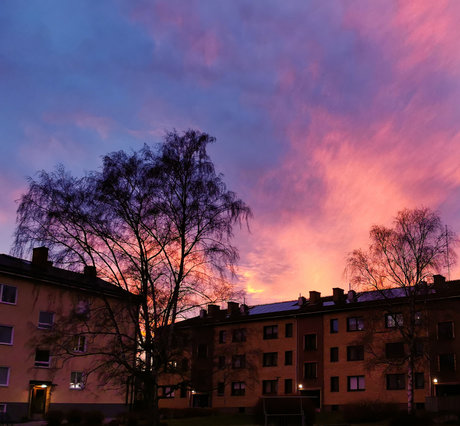 SunBunnie_ model hot galleries