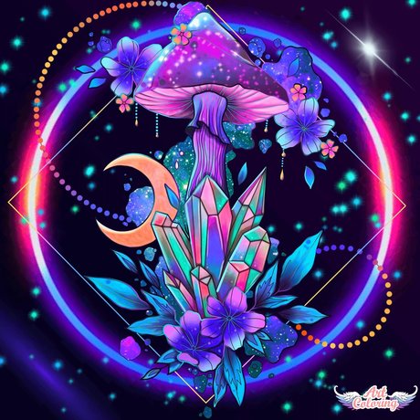 LAVENDER BLUE star pretty photos