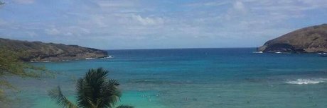 Phoenix Reign pornstar nice photo