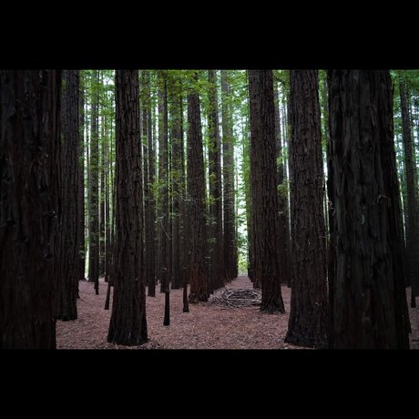 B3njamiv pornstar best photos