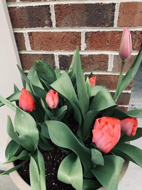 Douglas E Zima hot star archive