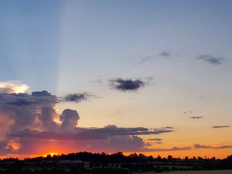 Peach Buzz high quality pornstar images