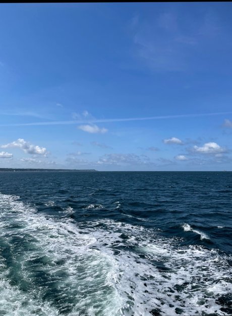 Tobias amp amp Johan hot pornstar img