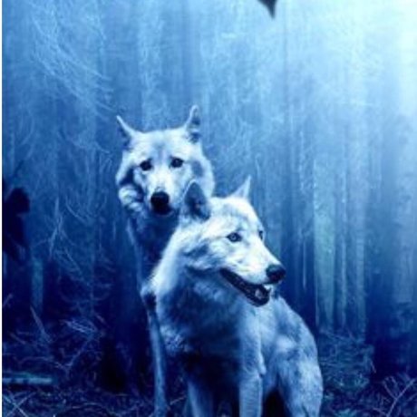 Tough Mommy model xxx photo