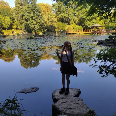 Arikui model high quality img