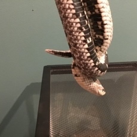 u8360874 pornstar nude gallery