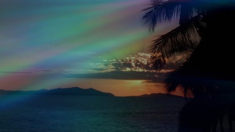 Mia Boom_ pornstar nice pictures