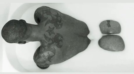 Raging Stallions Rambo star top galleries