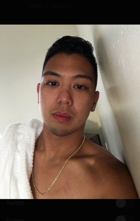 Service King Pro perfect star galleries