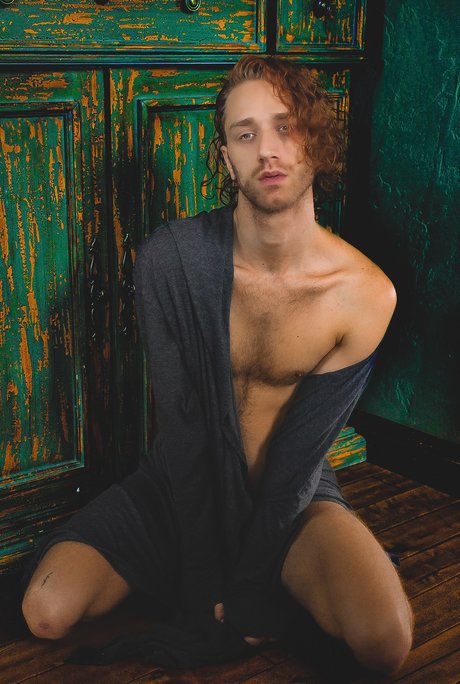 Sylveztor Steelbone star hd galleries