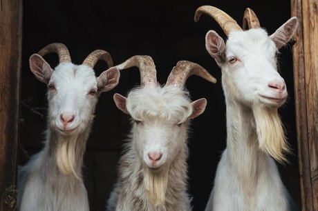 Willie Long beautiful actress galleries