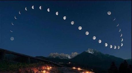 Zed Scheme model pretty picture