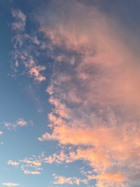 Thickness Williams top pornstar gallery