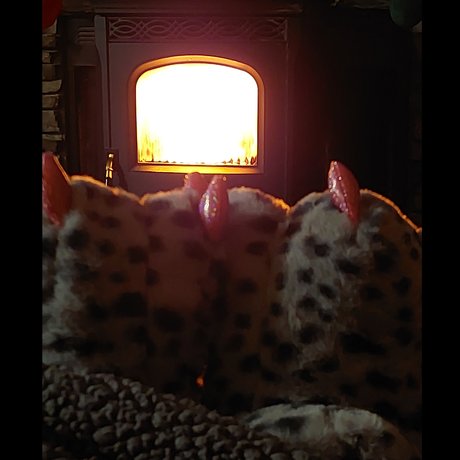 Toes R Us star pornographic gallery