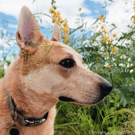 Topless talks with Mel model erotic gallery