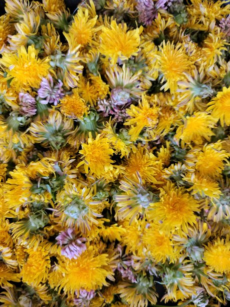 Topless talks with Mel high quality star galleries