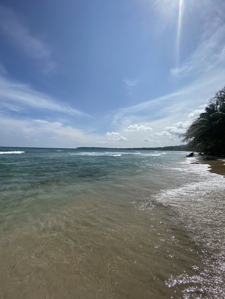 Estefan a BG pornstar nudes image