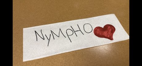 Y0ung Nympho art star image