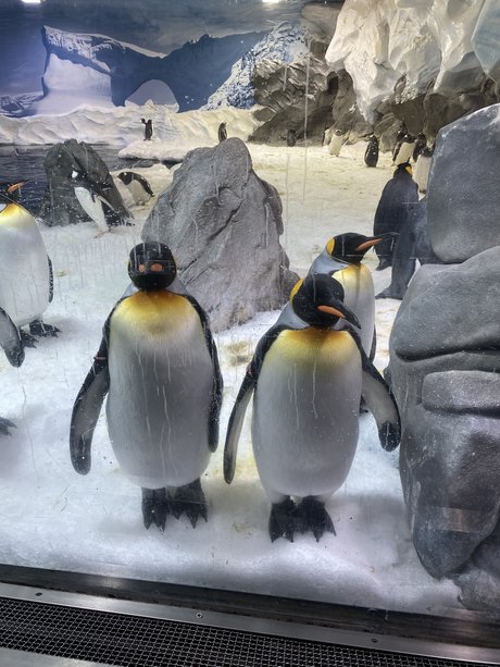 OMGPIEISSOGOOD star xxx images