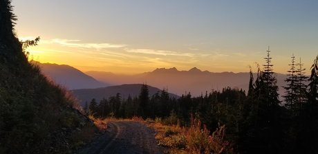 Shotgun Jenny pornstar art image