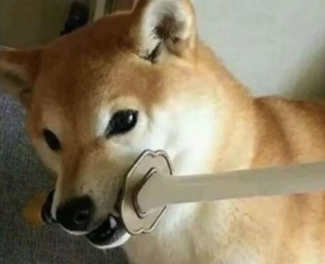 Diddy pup model free pic