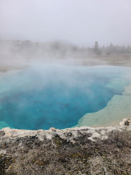 BIGdickNick erotic actress images