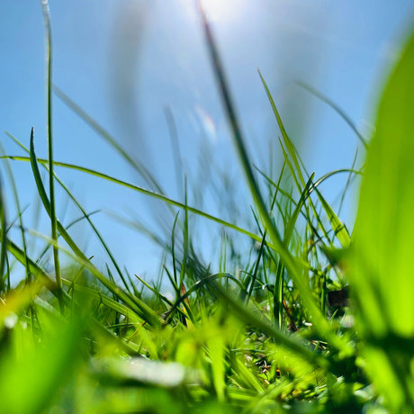 BenTooling nudes model photos