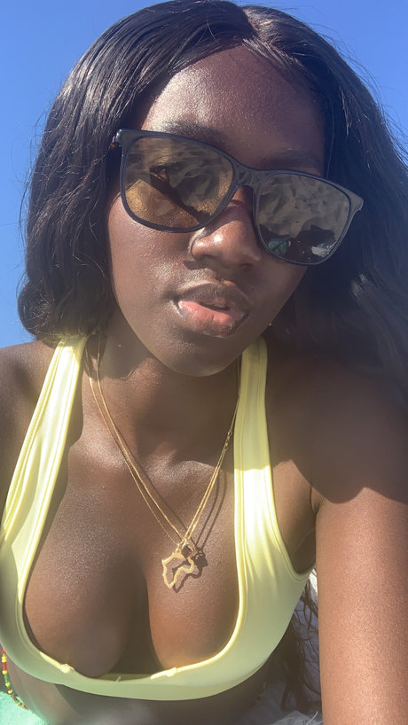 Segi hd star pictures