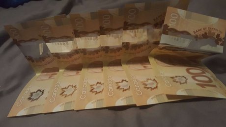 DaddyMocha amp ampLux model art picture