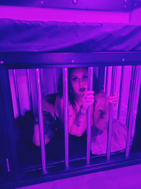 Lo Wilson star perfect galleries