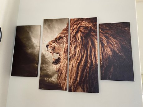 Skittles9993 beautiful pornstar img