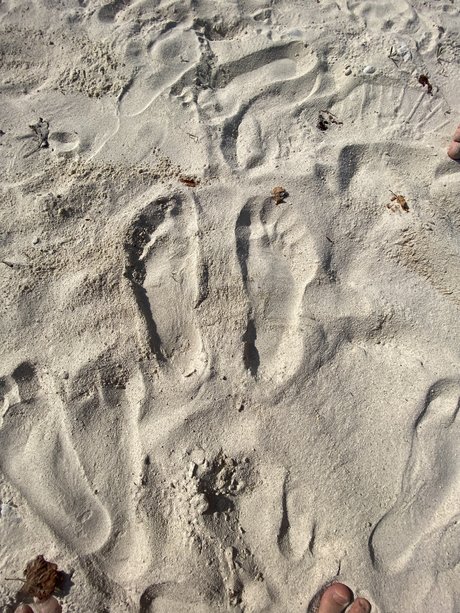 Super Feet sex pornstar archive