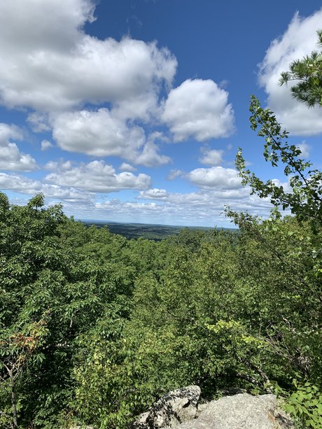 Bones_ xxx model image