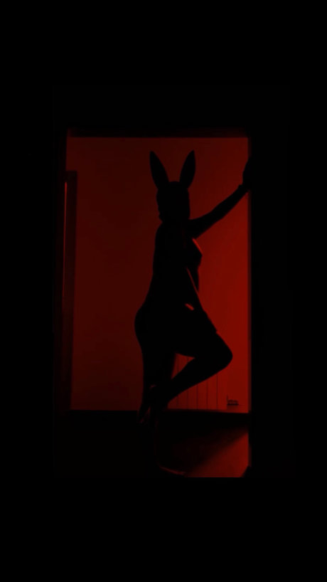 Nikki VIP erotic star picture