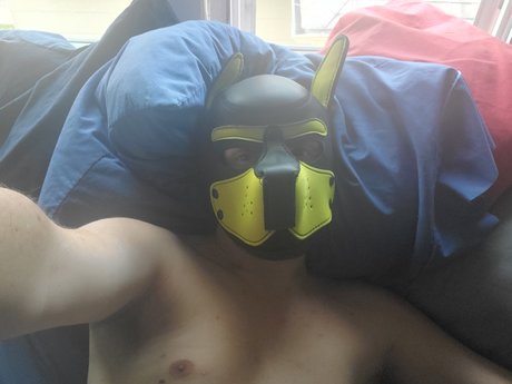 Pup squishy model perfect img